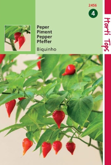 Pepper Biquinho (Capsicum) 10 seeds HT